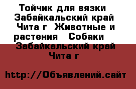 Тойчик для вязки - Забайкальский край, Чита г. Животные и растения » Собаки   . Забайкальский край,Чита г.